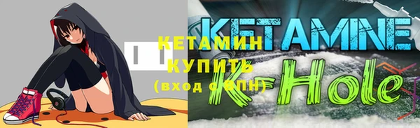 гидра Новодвинск