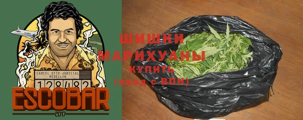 гидра Новодвинск