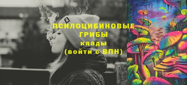 гидра Новодвинск