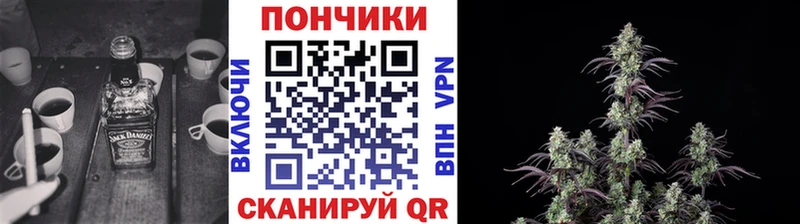 Бошки Шишки индика  купить наркотик  Бабушкин 